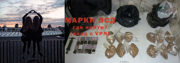 прущие грибы Надым