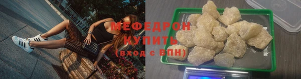 прущие грибы Надым
