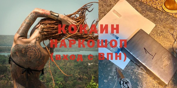 прущие грибы Надым