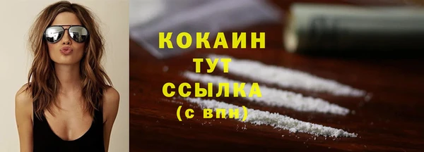 прущие грибы Надым