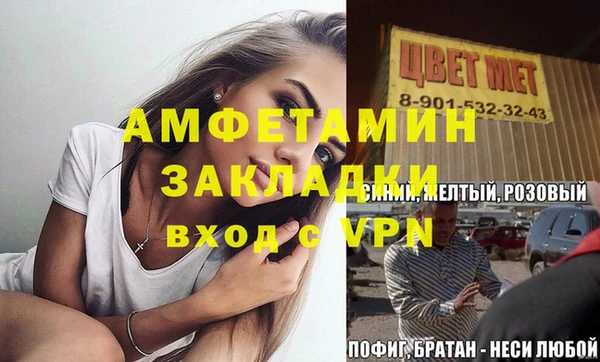 прущие грибы Надым