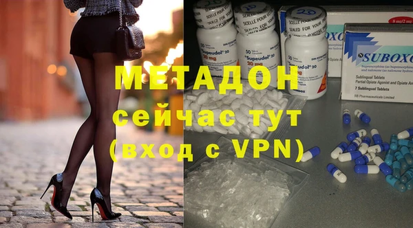 прущие грибы Надым