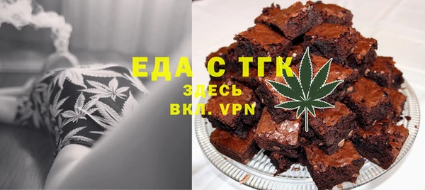 прущие грибы Надым