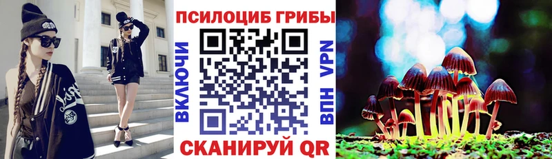 Купить где  Можайск  Галлюциногенные грибы прущие грибы 